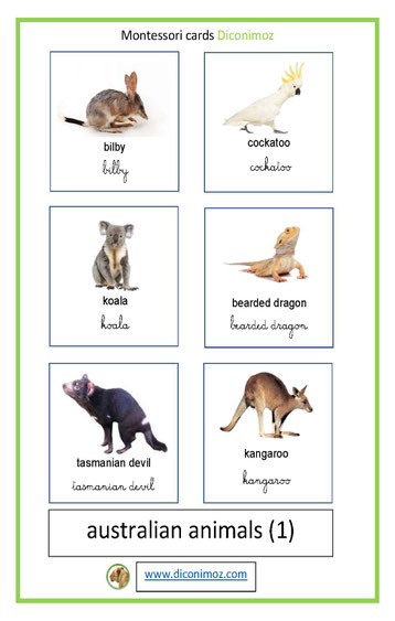 montessori cards australian animals transparent