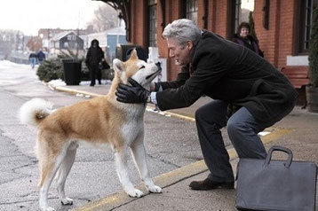 image du film hatchi avec richard gere et un chien de race akita inu