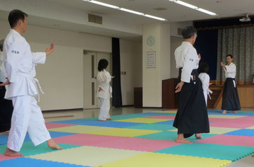 単独基本動作入り身転換　①左半身陰の魄気　北村（現）指導員による