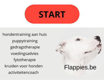 gratis tips gedrag hond en puppy