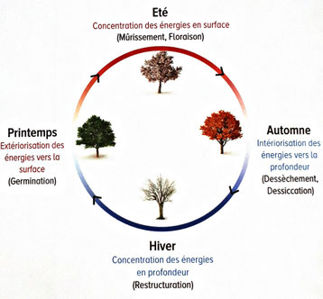 Entre ciel et terre, plus particulièrement, les humains... - Laetitia
