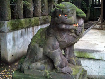 北澤八幡神社 狛犬