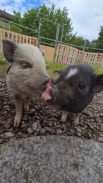 Olga & Wilma