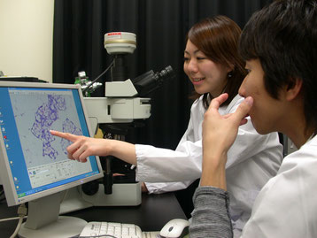 ダミー：生命現象を基礎から理解