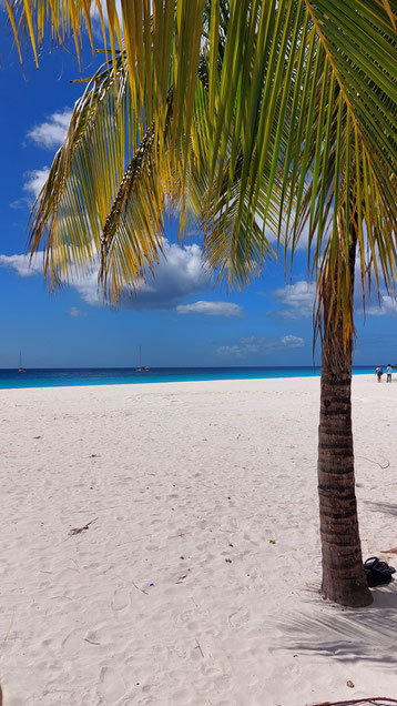 Strand auf Barbados.