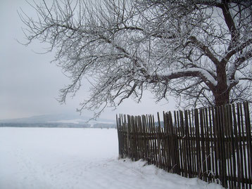 Müllers Garten und Blick auf den Kottmar