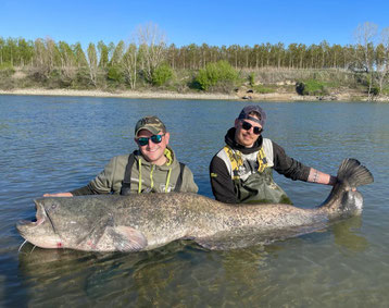 Vagner Fishing - Der Plan war vor Ort gemacht und wir bezogen unseren ersten Angelplatz zwischen Hauptfluss und Überflutungsgebiet. Die Vagner Stellfischruten gingen recht schnell nach dem Auslegen krumm und wir spürten das unser Vorhaben aufgehen wird.