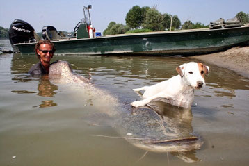 Anton - der beste Angelhund Ever