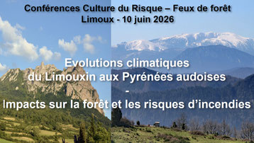 Forêt des Pyrénées Audoises