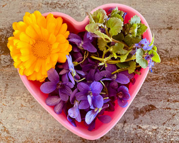 Schälchen in Herzform mit Blüten (Veilchen, Ringelblume)  und Gundermann.