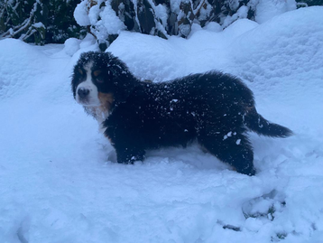 Smilla soll gleich ein Gespür für Schnee bekommen.