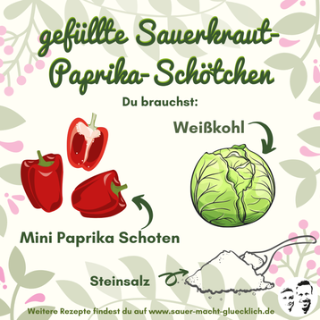 Sauerkraut-Schötchen - Milchsaure Mini-Paprika mit Sauerkraut gefüllt