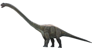 Image animaux detourée transparent sur fond blanc brachiosaure png