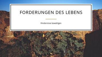 Forderungen des Lebens - Hindernisse bewältigen. Von Martina M. Schuster