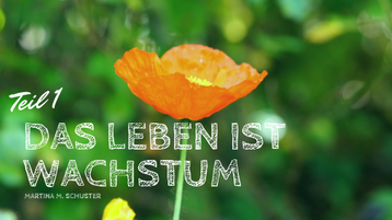 Das Leben ist Wachstum, Teil 1 von Martina M. Schuster, ConAquila Coaching Akademie