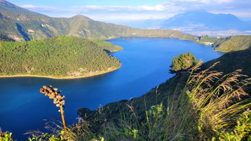 Die Form der Laguna Cuicocha erinnert an ein Meerschweinchen