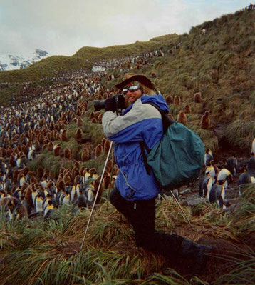 Photo:Biography. David Brandenberger in South Georgia photographing penguins.