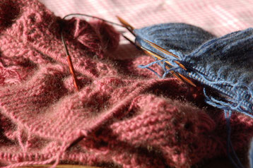 Rimu von Zealana in der Farbe R24 = Pink Petiti und R23 = Kakariki Blue