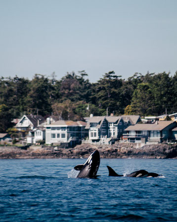 © Destination BC/Jordan Dyck