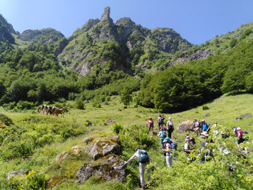 L'aiguille et la clairière d'Ayguebère