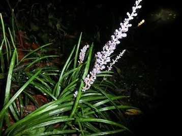 お金を追うとお金は逃げていく 幸せのひとり言 南 将路