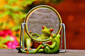 Frosch und sein Spiegelbild