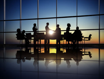 Consultoría empresarial y de negocios