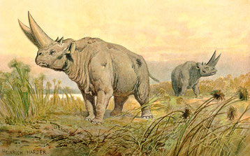 Dessin de Heinrich Harder
