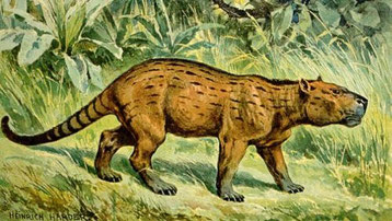 Dessin de Heinrich Harder
