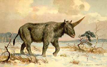 Dessin de Heinrich Harder