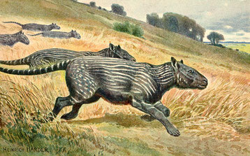 Dessin de Heinrich Harder
