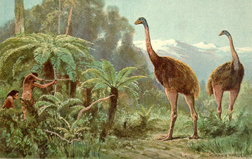 Dessin de Heinrich Harder