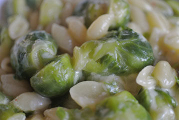 Rosenkohl-Nudel-Topf