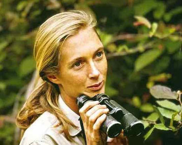 jane-goodall-dictee-feuilles
