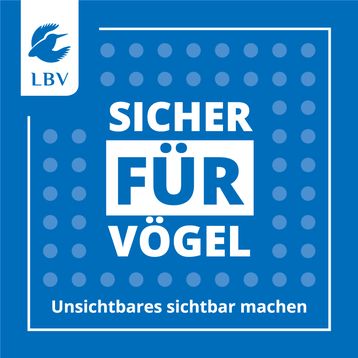 Plakette gegen Vogelschlag LBV