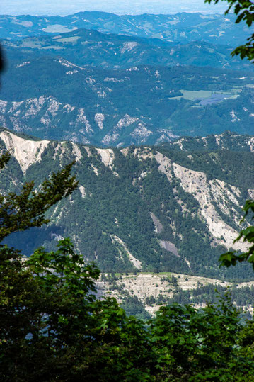 Parco Nazionale delle Foreste Casentinesi, Monte Falterona e Campigna