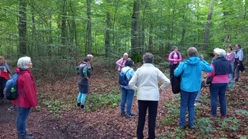 Yoga in der Natur Juni 2024