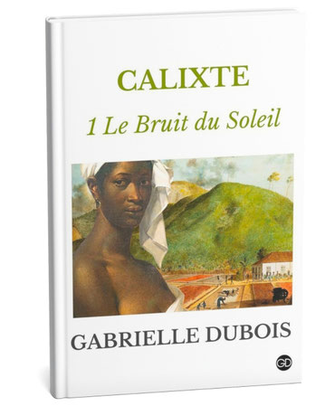 gabrielle dubois calixte, roman histoire, calixte 1 le bruit du soleil