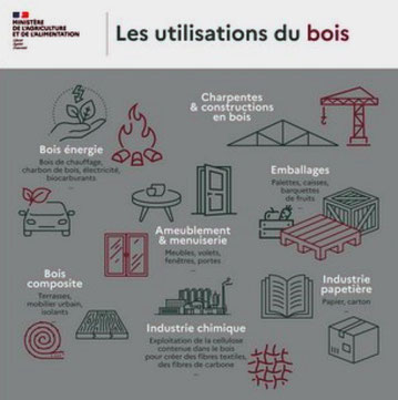 Tableau des utilisations du bois en 2023