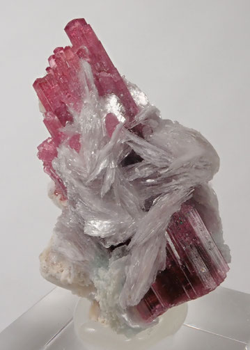 Malkhan rubellite