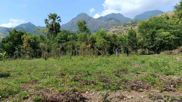 West Bali land for sale