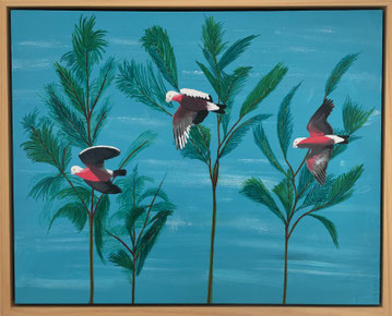 "Flying Galahs" 55cm x 45cm Acrylic on canvas, pinewood frame $300 (excluding freight)