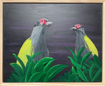 "Attentive Figbirds" 55cm x 45cm Acrylic on canvas, pinewood frame $300 (excluding freight)