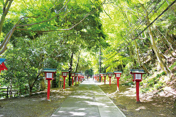 ©Hachioji City (licensed underCC BY 4.0)