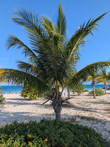 Ocean Cay