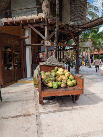Costa Maya