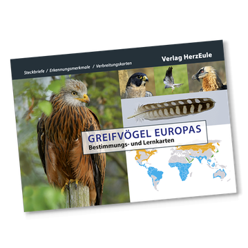 Europäische Greifvögel Bestimmungskarten, Falknerprüfung Karteikarten