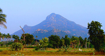 Blick auf den Arunachala