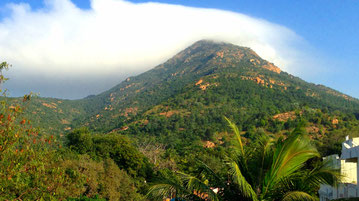 Blick auf den Arunachala