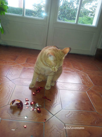 Boule cassée